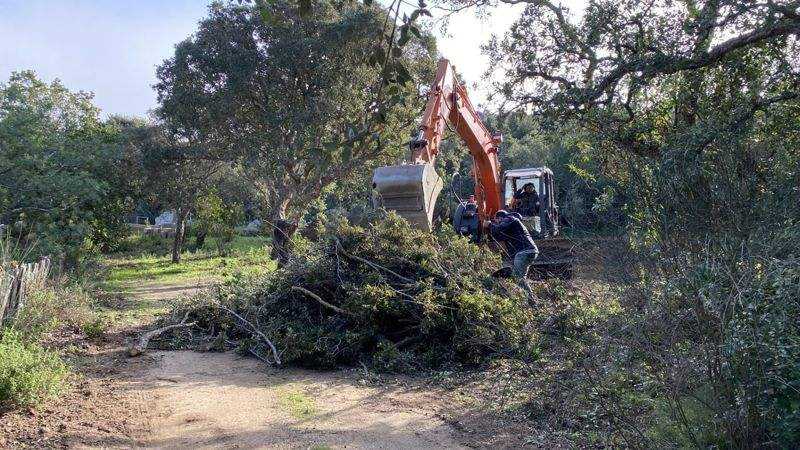 Février 2023 : débroussaillage de l’emprise.